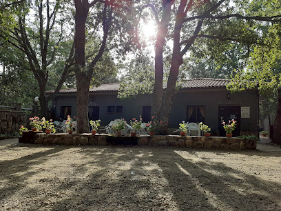 Camping las Cavenes